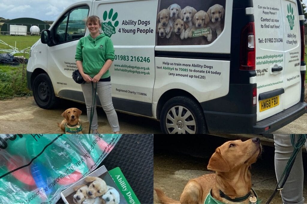 Ability dogs and van isle of wight charity
